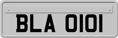 BLA0101