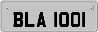 BLA1001