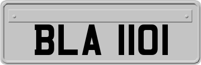 BLA1101
