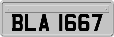 BLA1667