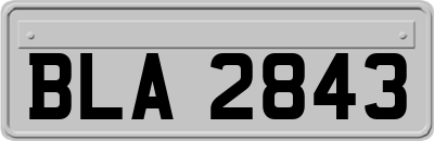 BLA2843