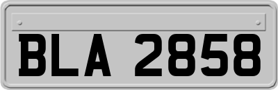 BLA2858