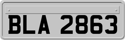BLA2863