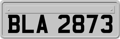 BLA2873