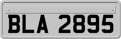BLA2895