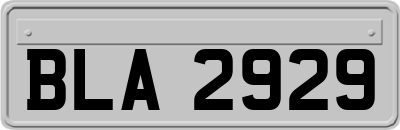BLA2929