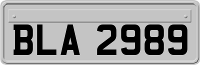 BLA2989