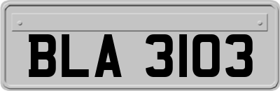 BLA3103