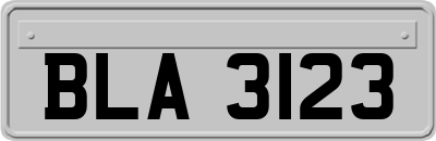 BLA3123