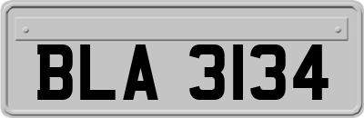 BLA3134
