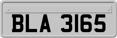 BLA3165