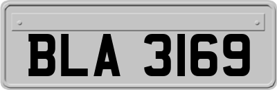 BLA3169