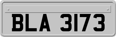 BLA3173