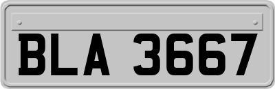 BLA3667