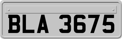 BLA3675