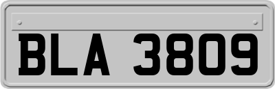 BLA3809