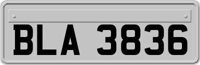 BLA3836