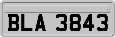BLA3843