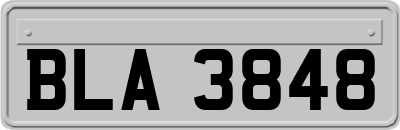 BLA3848