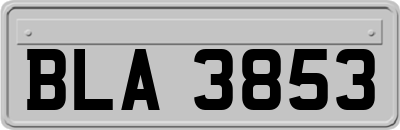 BLA3853