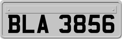 BLA3856