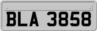 BLA3858