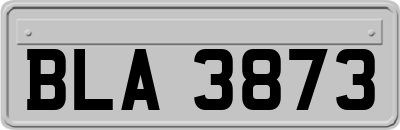 BLA3873