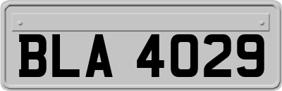 BLA4029