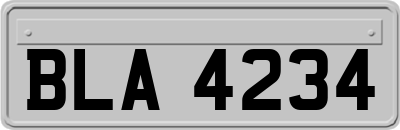 BLA4234