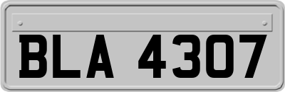 BLA4307