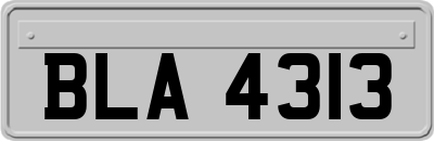 BLA4313