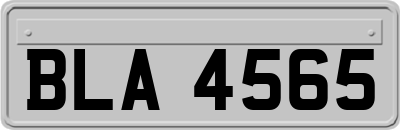 BLA4565
