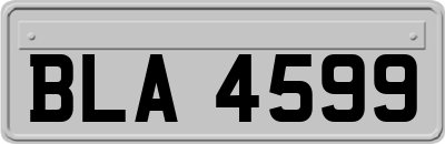 BLA4599