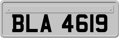 BLA4619