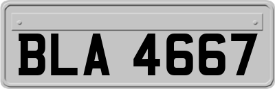 BLA4667