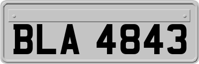 BLA4843