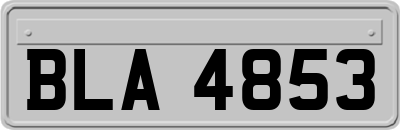 BLA4853