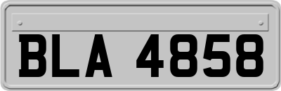 BLA4858