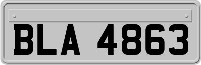 BLA4863