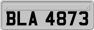 BLA4873