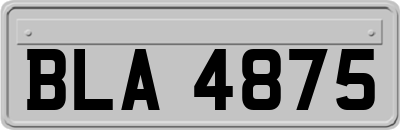 BLA4875