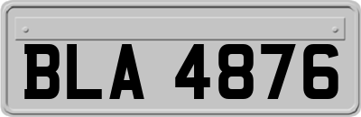 BLA4876