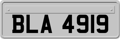BLA4919