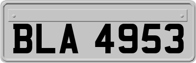 BLA4953