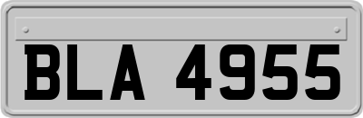 BLA4955