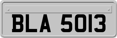 BLA5013