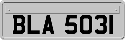 BLA5031