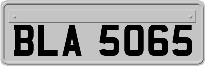 BLA5065