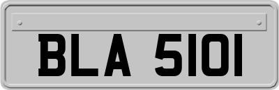 BLA5101