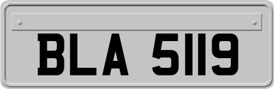 BLA5119